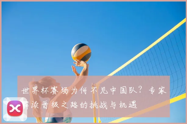 世界杯赛场为何不见中国队?专家解读晋级之路的挑战与机遇