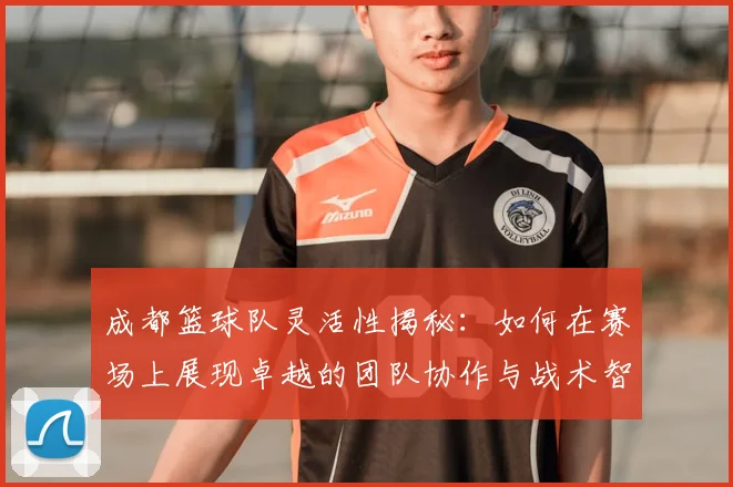 成都篮球队灵活性揭秘：如何在赛场上展现卓越的团队协作与战术智慧