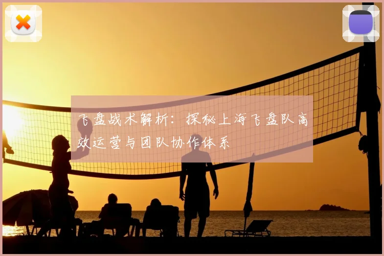 飞盘战术解析:探秘上海飞盘队高效运营与团队协作体系