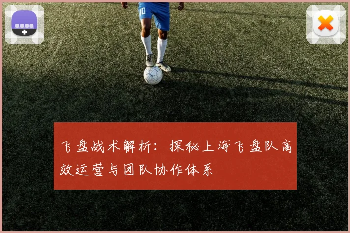 飞盘战术解析：探秘上海飞盘队高效运营与团队协作体系