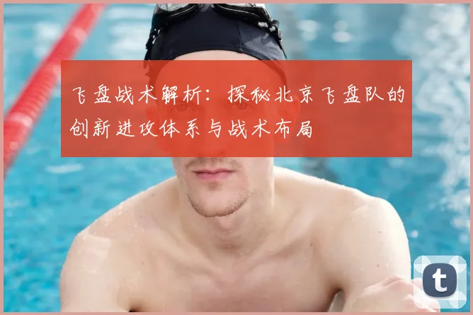 飞盘战术解析:探秘北京飞盘队的创新进攻体系与战术布局