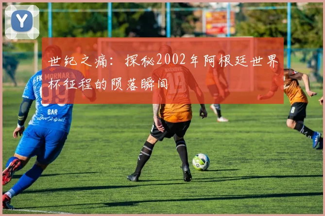 世纪之痛：探秘2002年阿根廷世界杯征程的陨落瞬间