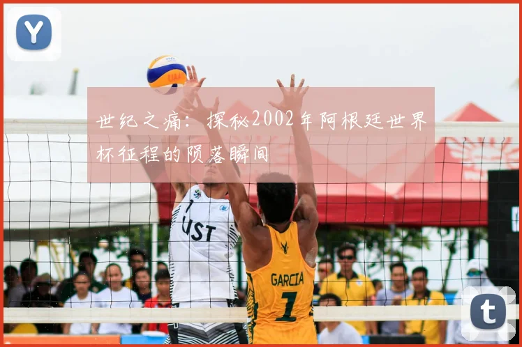 世纪之痛：探秘2002年阿根廷世界杯征程的陨落瞬间