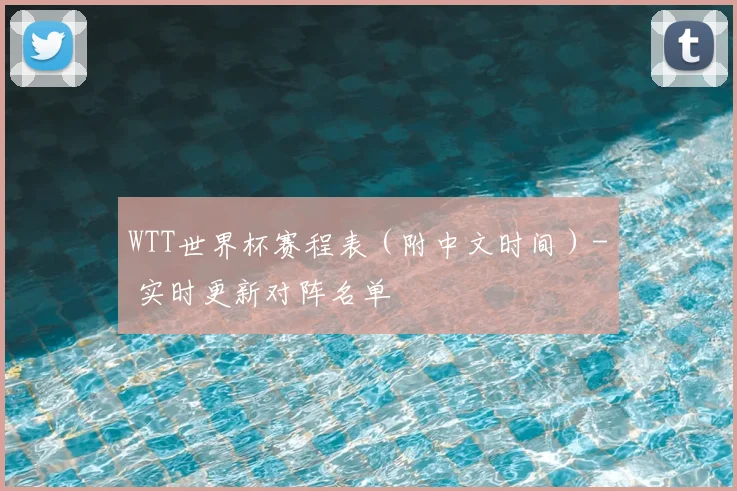 WTT世界杯赛程表（附中文时间）- 实时更新对阵名单