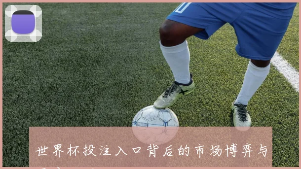 世界杯投注入口背后的市场博弈与用户心理
