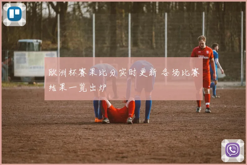 欧洲杯赛果比分实时更新 各场比赛结果一览出炉