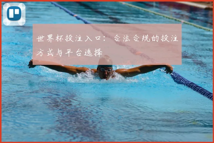 世界杯投注入口：合法合规的投注方式与平台选择