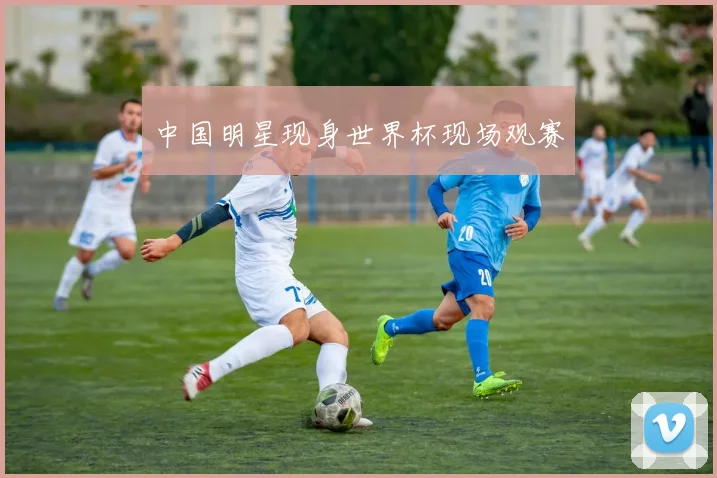 中国明星现身世界杯现场观赛