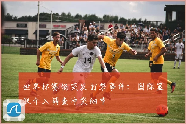 世界杯赛场突发打架事件:国际篮联介入调查冲突细节