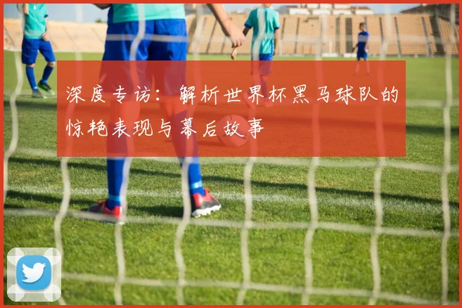 深度专访:解析世界杯黑马球队的惊艳表现与幕后故事