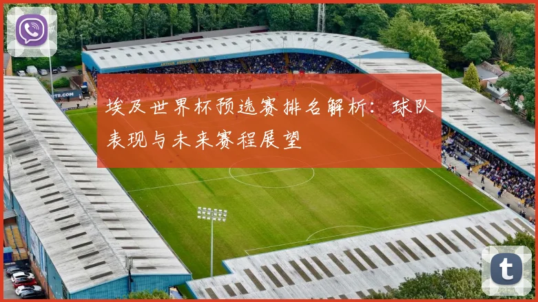 埃及世界杯预选赛排名解析:球队表现与未来赛程展望