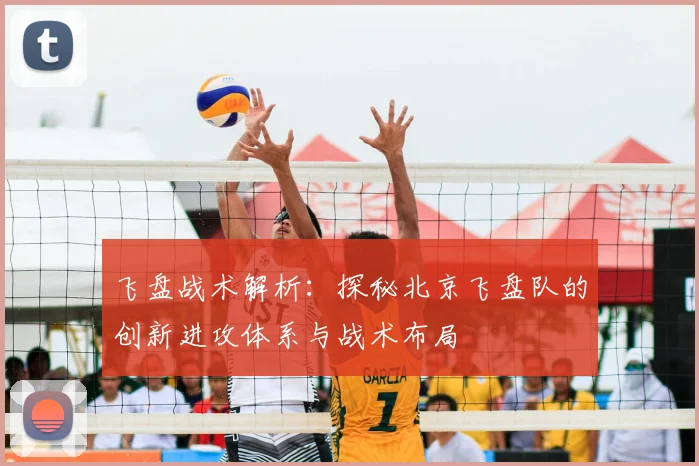飞盘战术解析：探秘北京飞盘队的创新进攻体系与战术布局